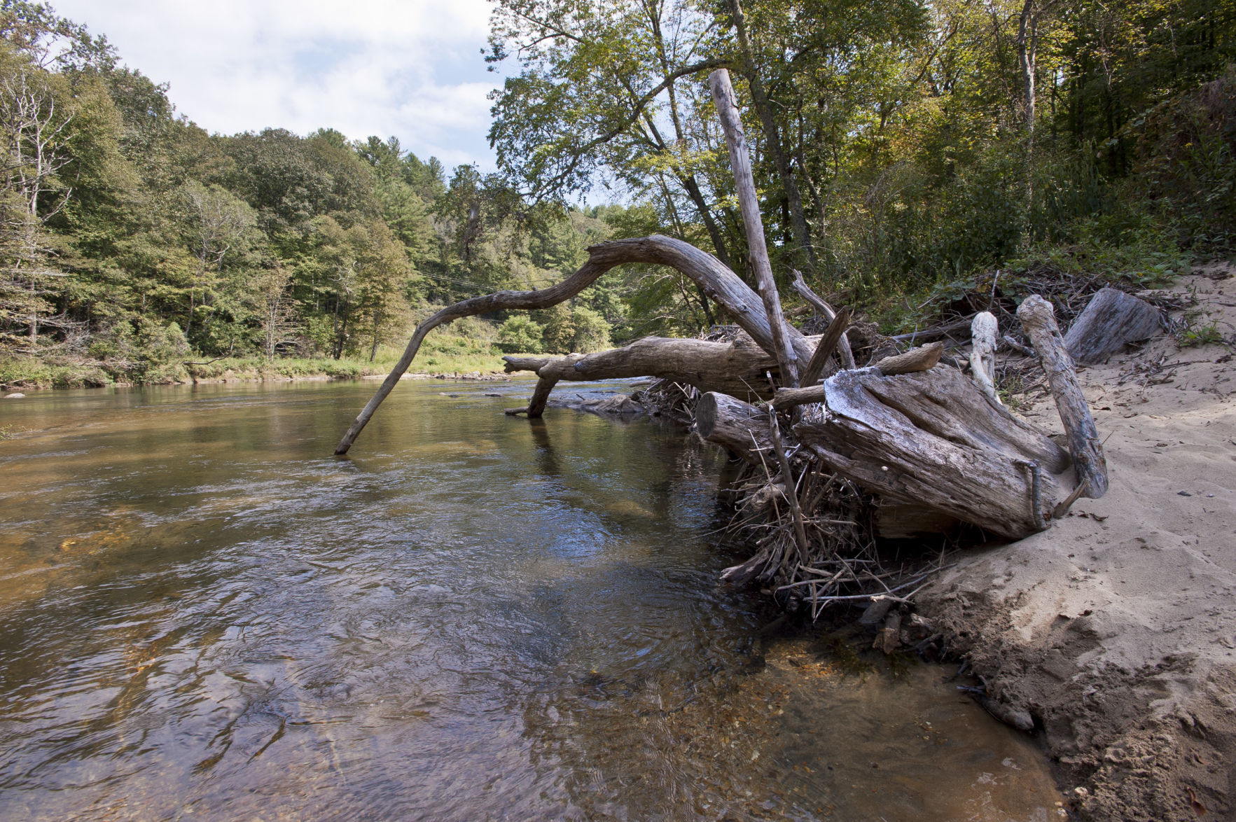 Elk Shoals rewilding
